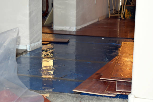 Professional Flood Damage Restoration technician working in Hadley, MA